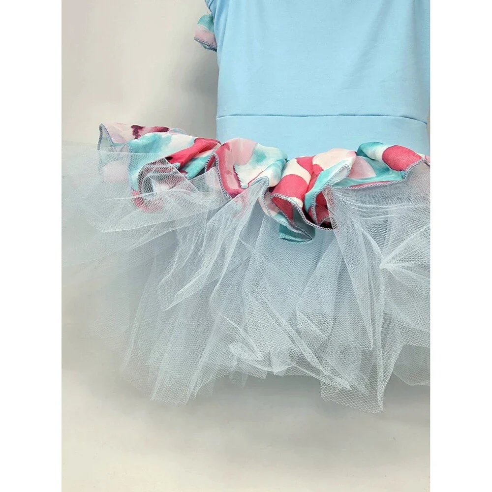 Duck Crossing Girls Ruffle Ballet Tutu Dress 1pc Skirted Leotard Tulle Blue Pink